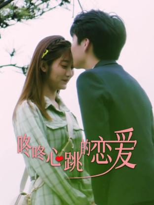 seo优化推广收费